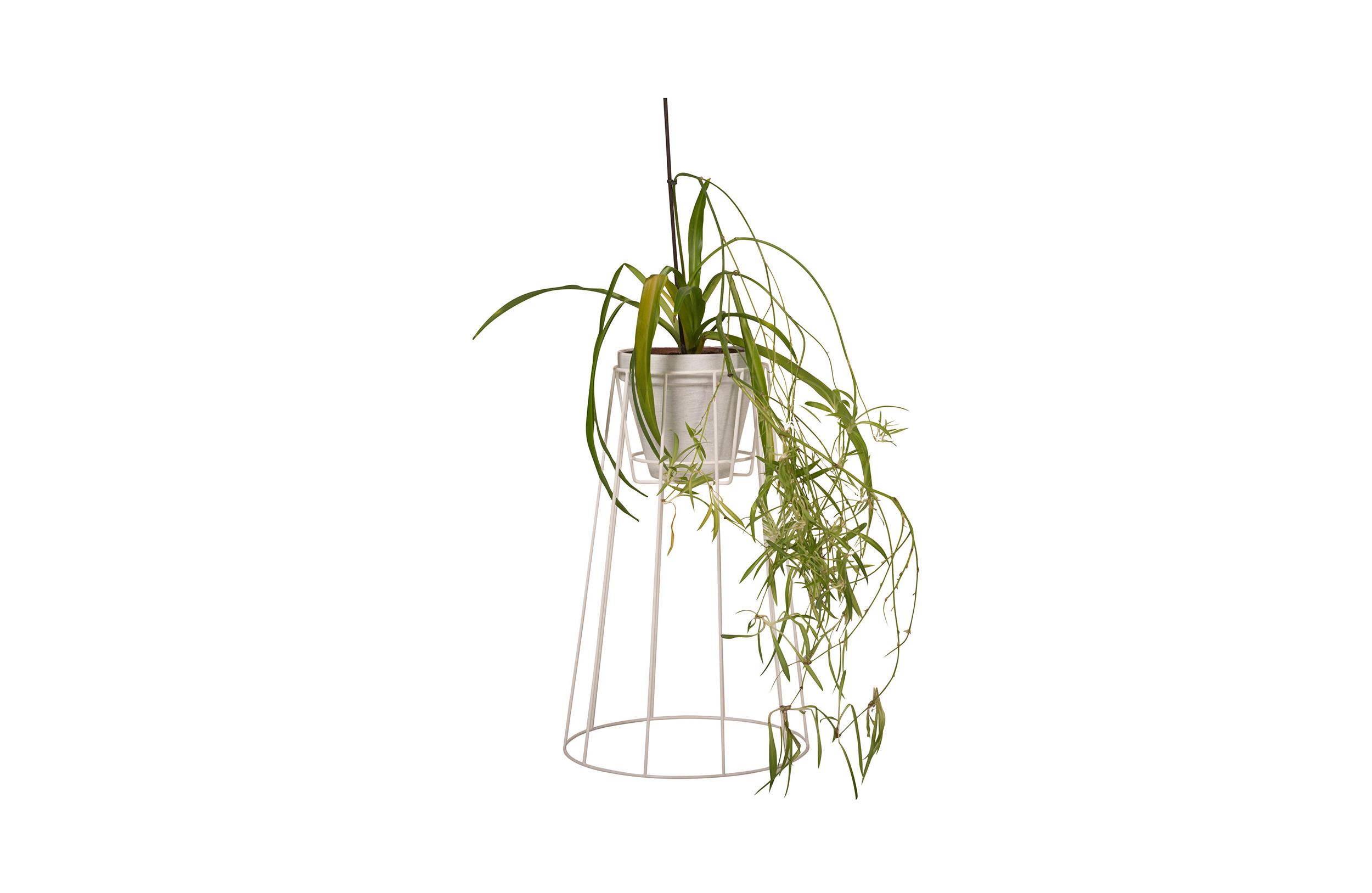 乐动在线体育·(China)官方网站 - 附件|花器|办公家具|登录入口家具|西布莉植物架