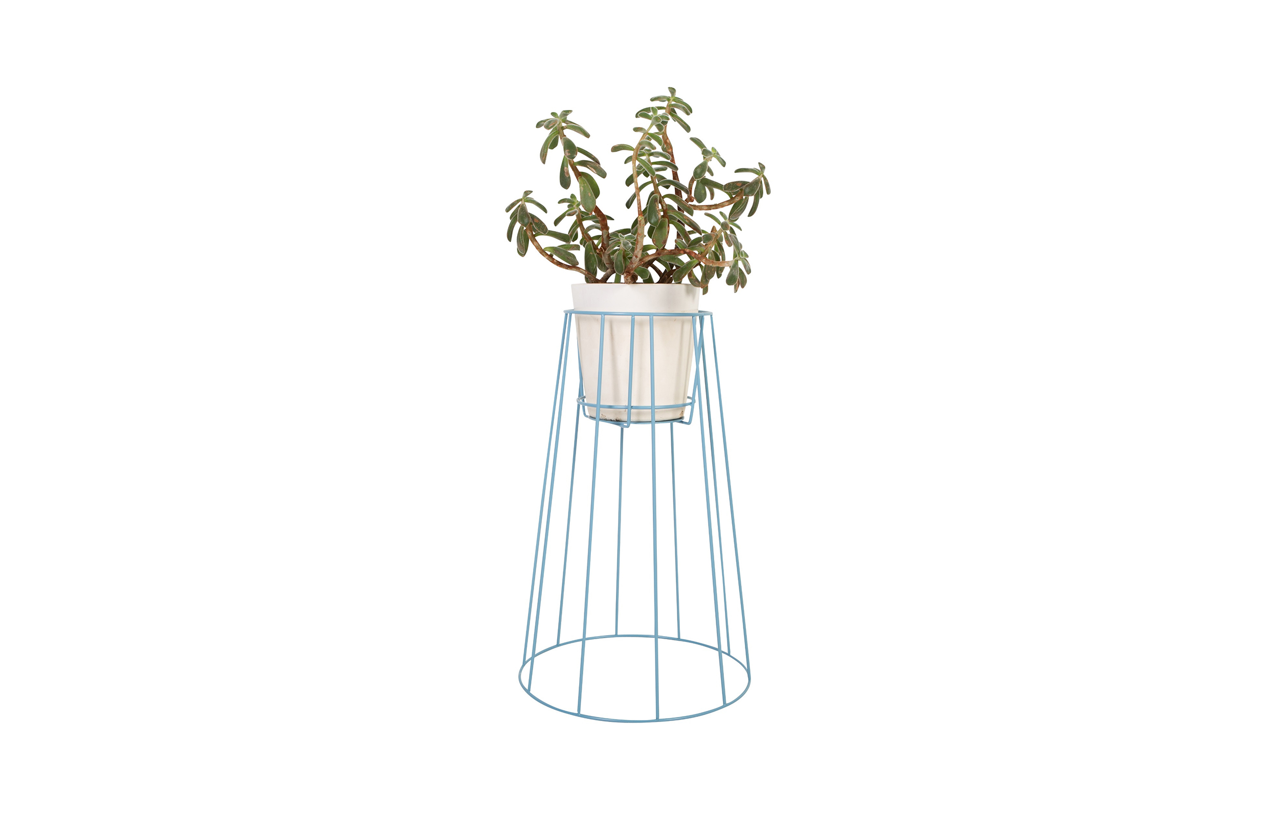 乐动在线体育·(China)官方网站 - 附件|花器|办公家具|登录入口家具|西布莉植物架