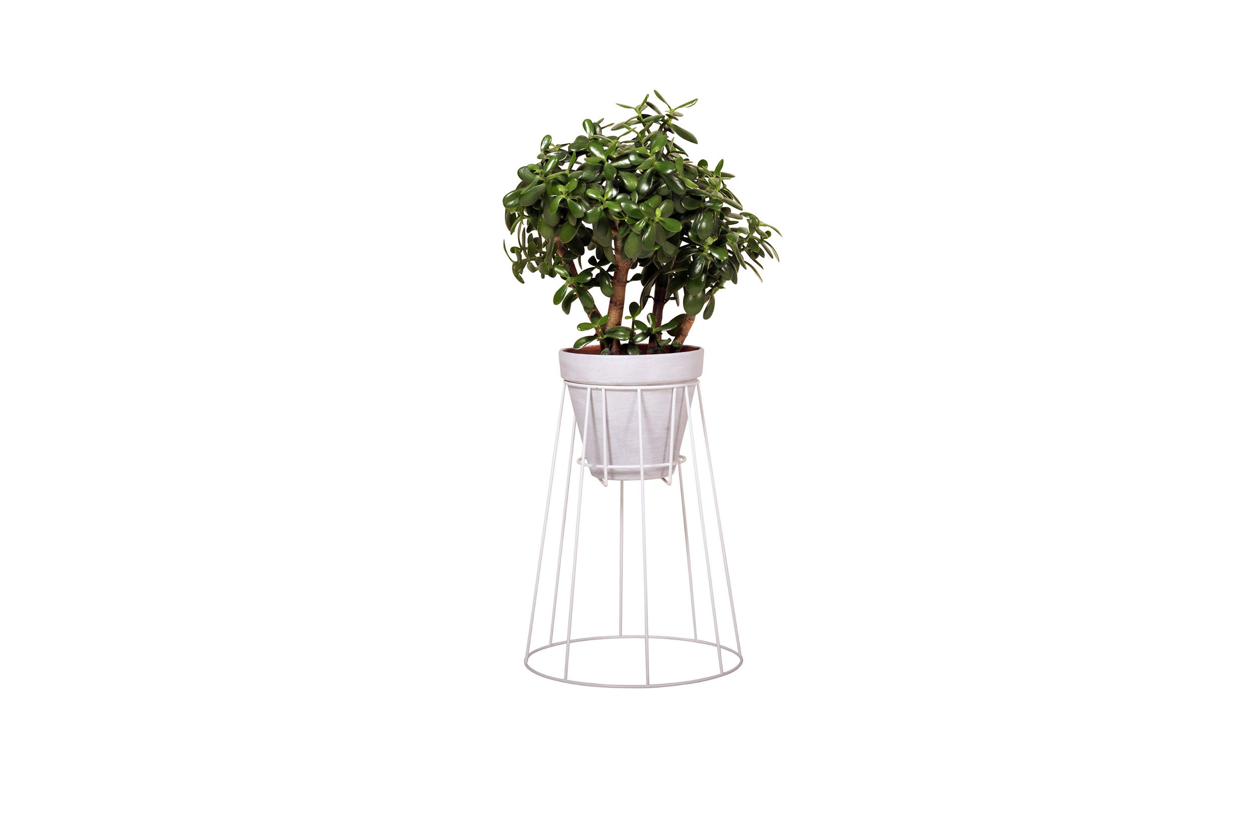 乐动在线体育·(China)官方网站 - 附件|花器|办公家具|登录入口家具|西布莉植物架