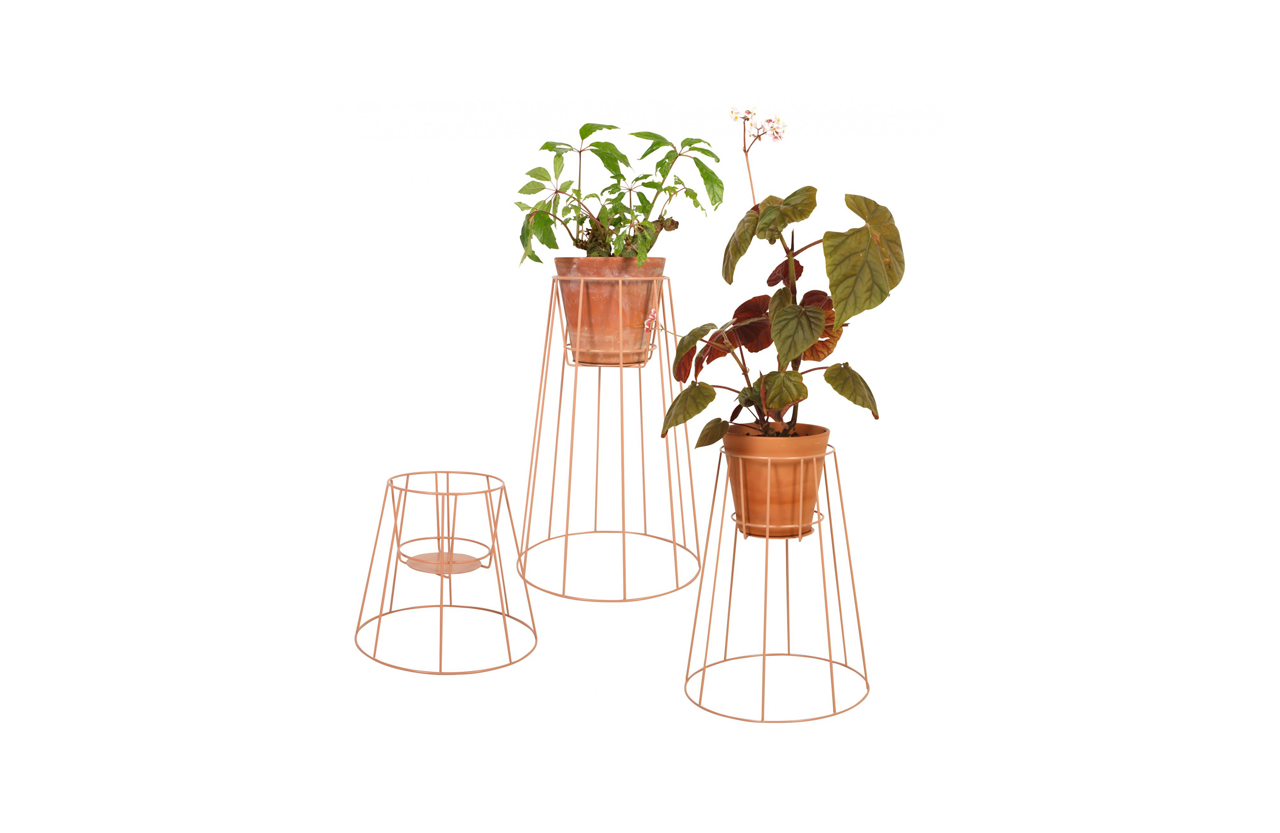 乐动在线体育·(China)官方网站 - 附件|花器|办公家具|登录入口家具|西布莉植物架
