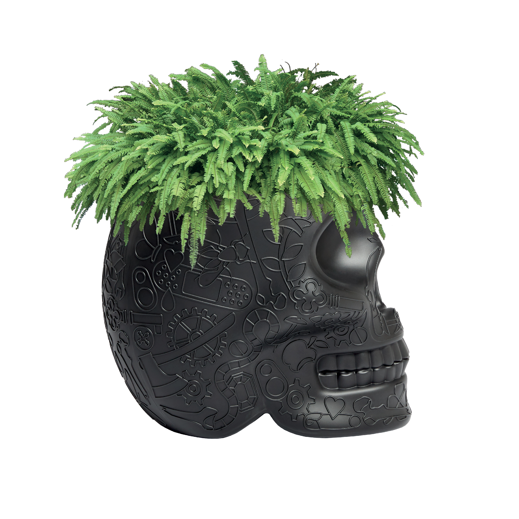 乐动在线体育·(China)官方网站 - 附件|花器|办公家具|登录入口家具|墨西哥花盆