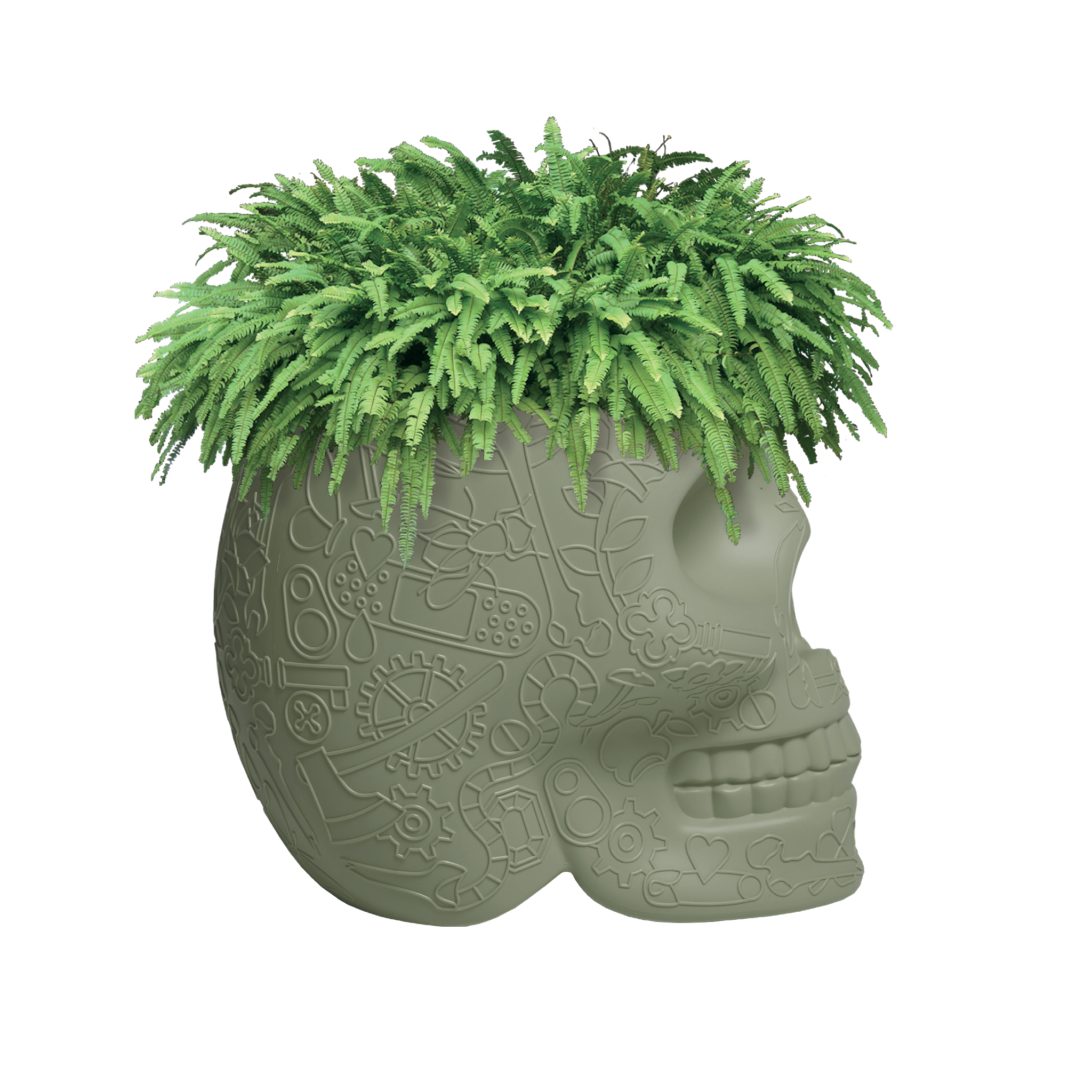 乐动在线体育·(China)官方网站 - 附件|花器|办公家具|登录入口家具|墨西哥花盆