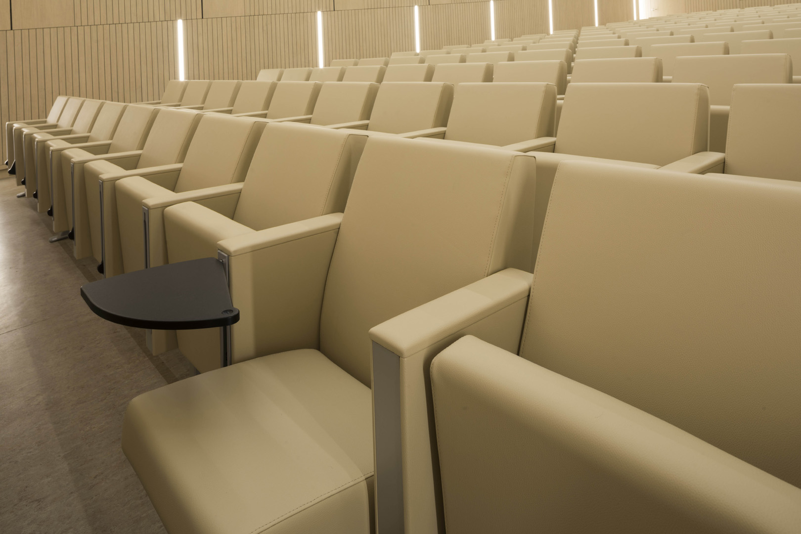公共座椅|礼堂椅|办公家具|登录入口家具|C100 剧院/礼堂椅