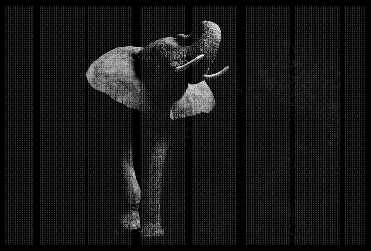 [乐动在线体育·(China)官方网站 - 附件|装饰画/墙饰|办公家具|登录入口家具|非洲-原创定制壁画]